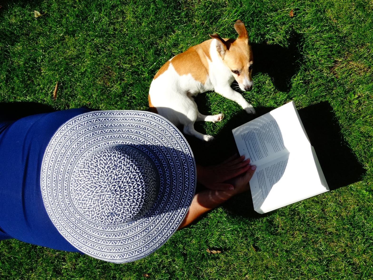 Image of Person Laying on Grass, Wearing a Big Hat, Reading a Book. A Brown and White Dog is Laying Down Next to the Reader.
